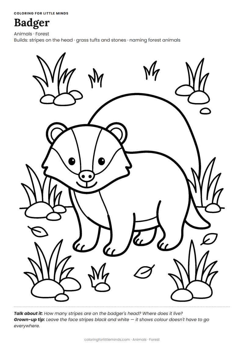 Badger coloring page for ages 5–6 — free full-size printable PDF