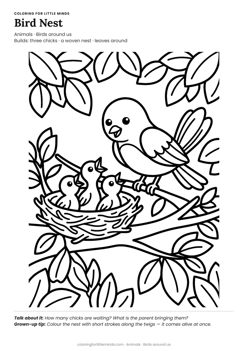 Bird nest coloring page for ages 5–6 — free full-size printable PDF