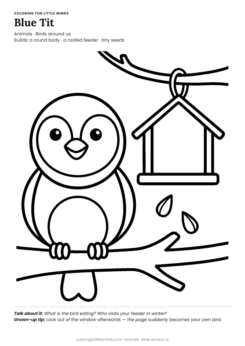 Blue tit coloring page for ages 4–5 — free full-size printable PDF