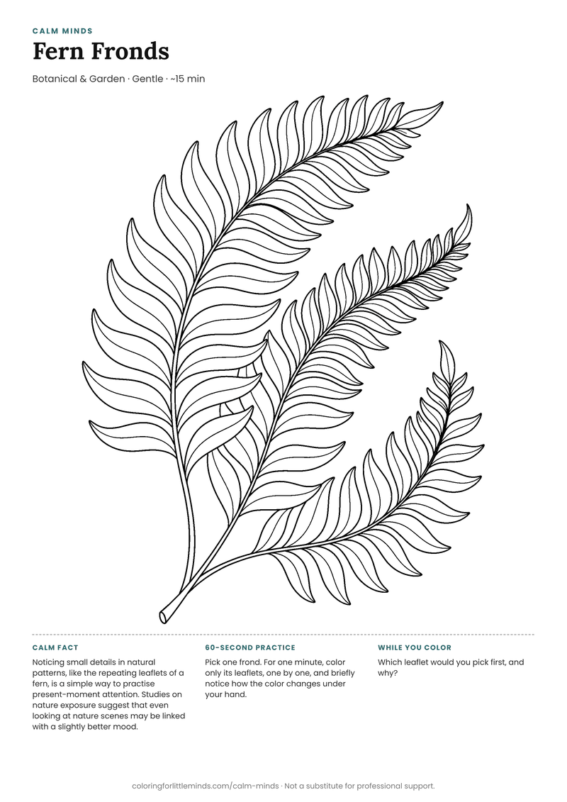 Coloring page: Fern Fronds