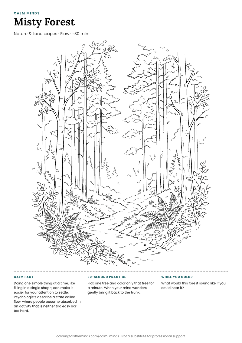 Coloring page: Misty Forest