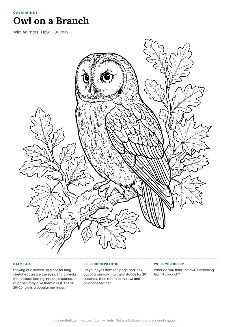 Coloring page: Owl on a Branch