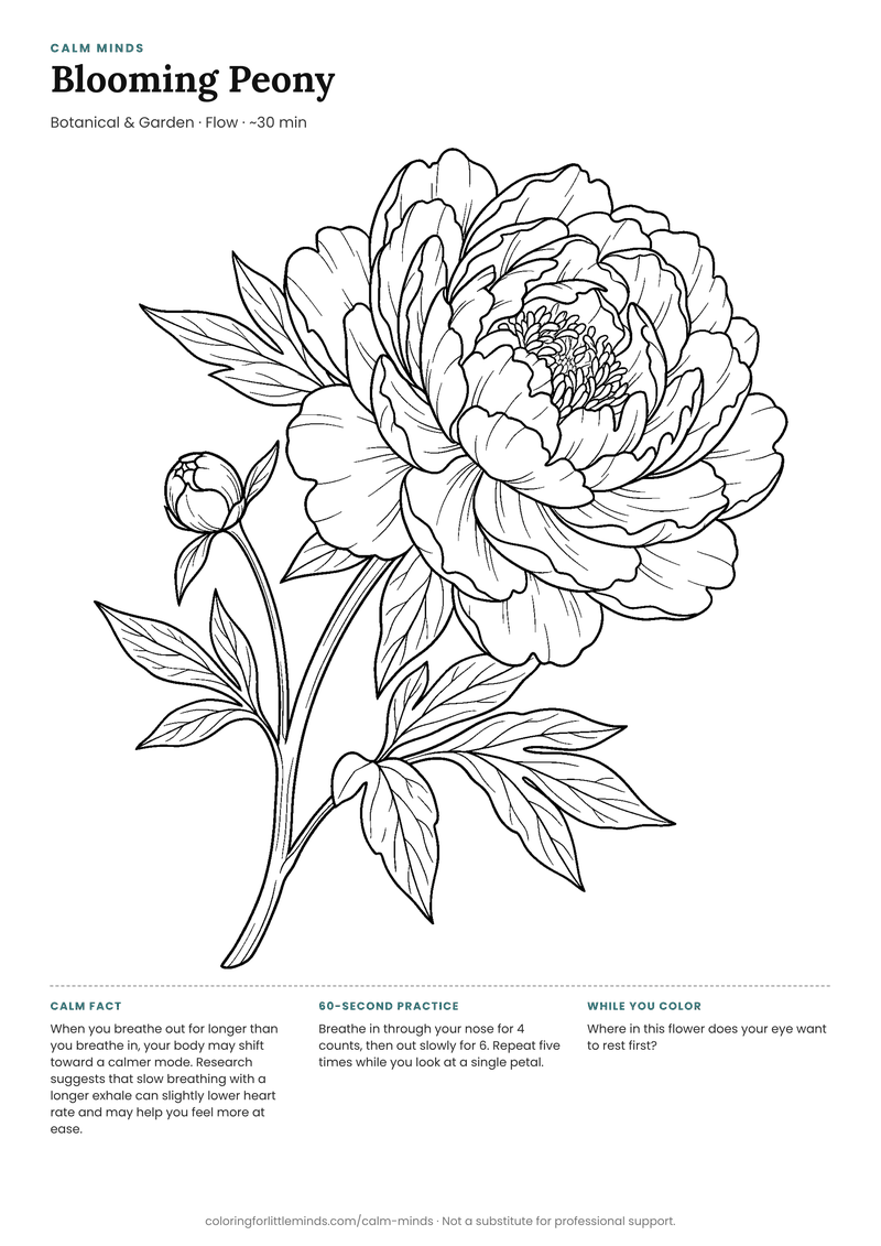 Coloring page: Blooming Peony