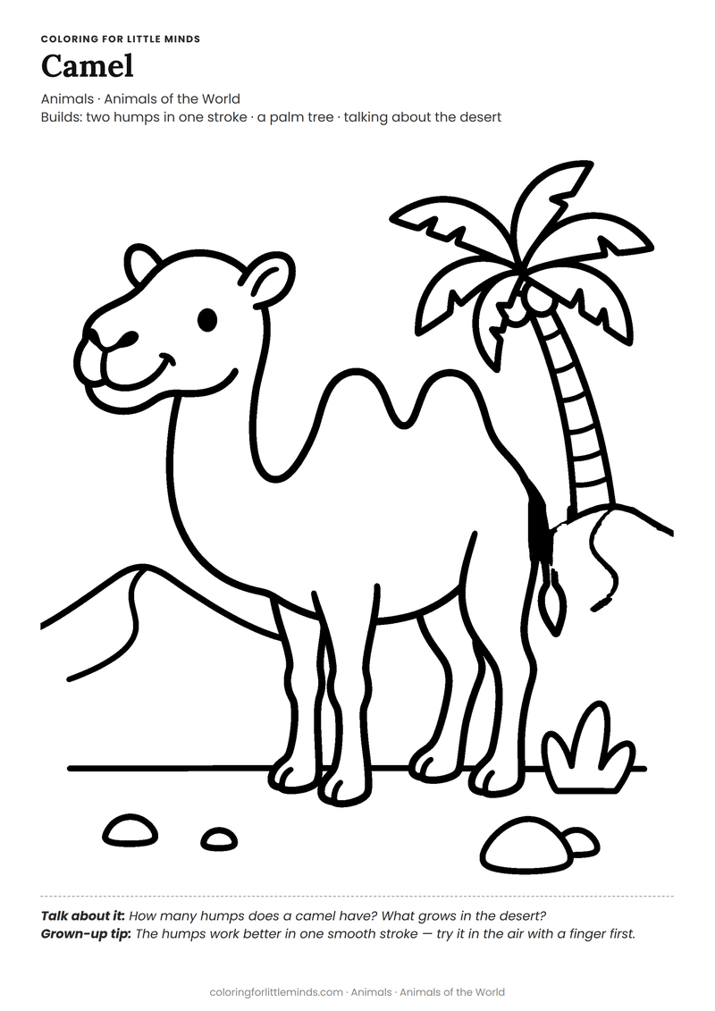 Camel coloring page for ages 4–5 — free full-size printable PDF
