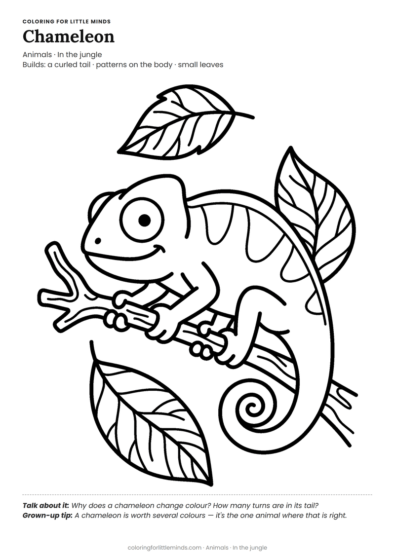 Chameleon coloring page for ages 5–6 — free full-size printable PDF