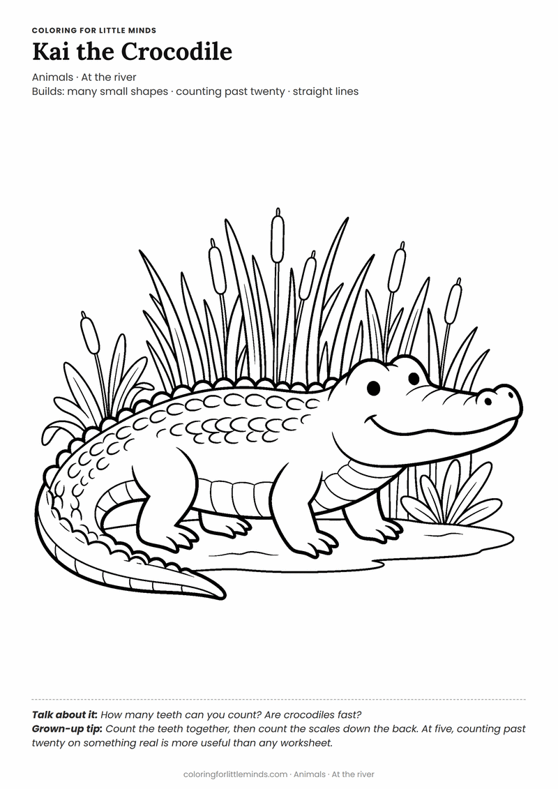 Crocodile coloring page for ages 5–6 — free printable preview
