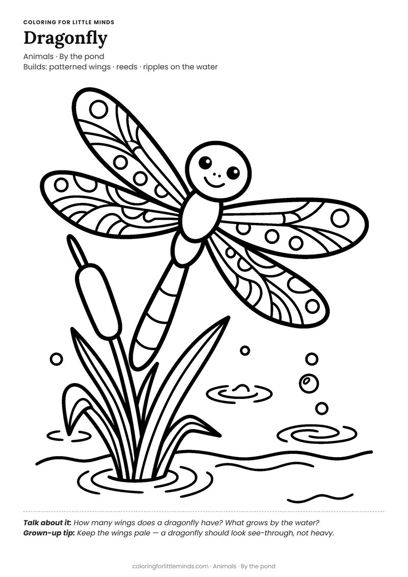Dragonfly coloring page for ages 5–6 — free full-size printable PDF
