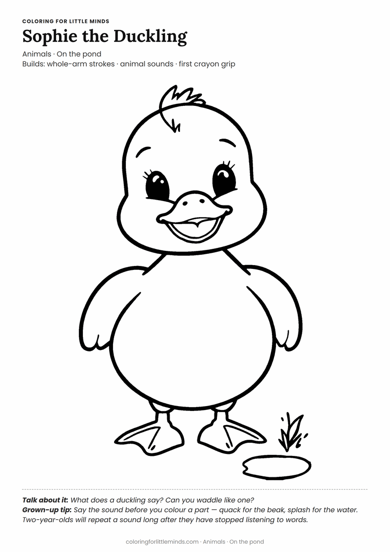 Duckling coloring page for ages 2–3 — free printable preview