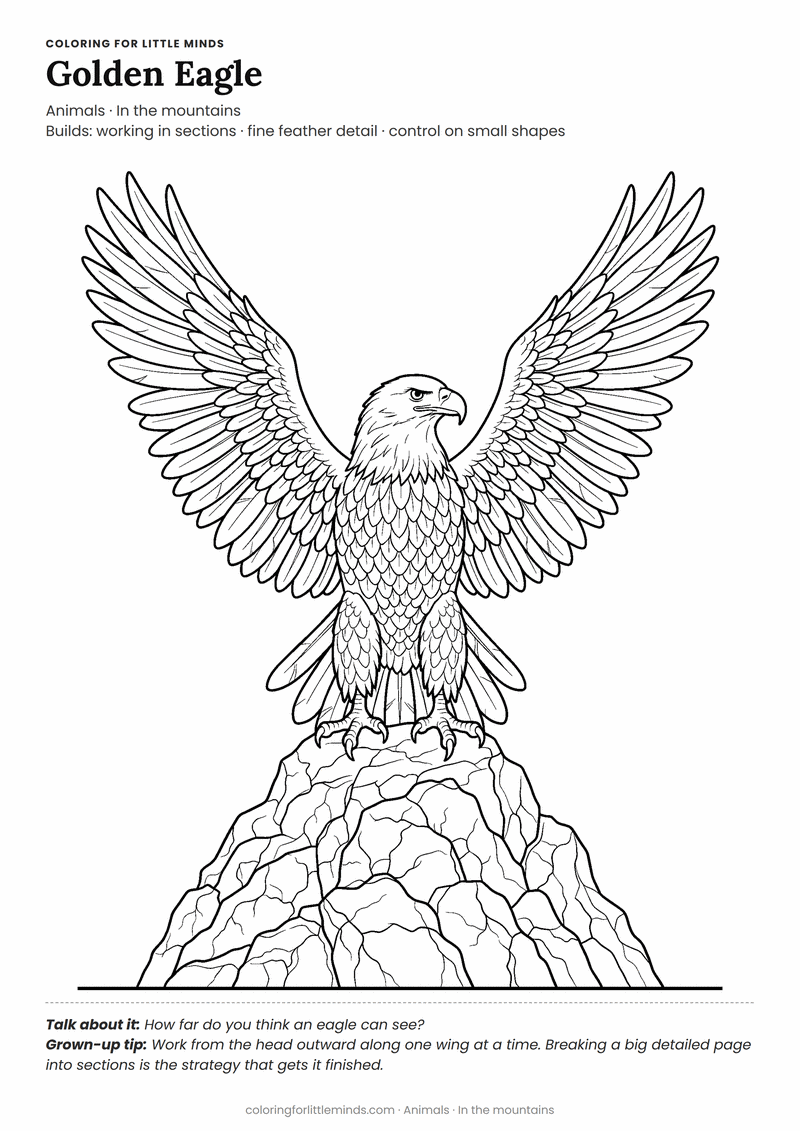 Eagle coloring page for ages 6–8 — free printable preview