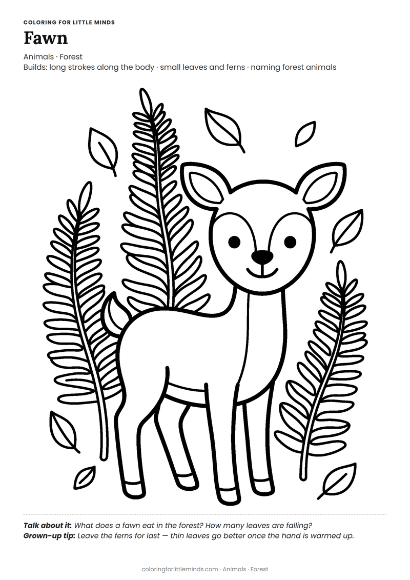 Fawn coloring page for ages 4–5 — free full-size printable PDF