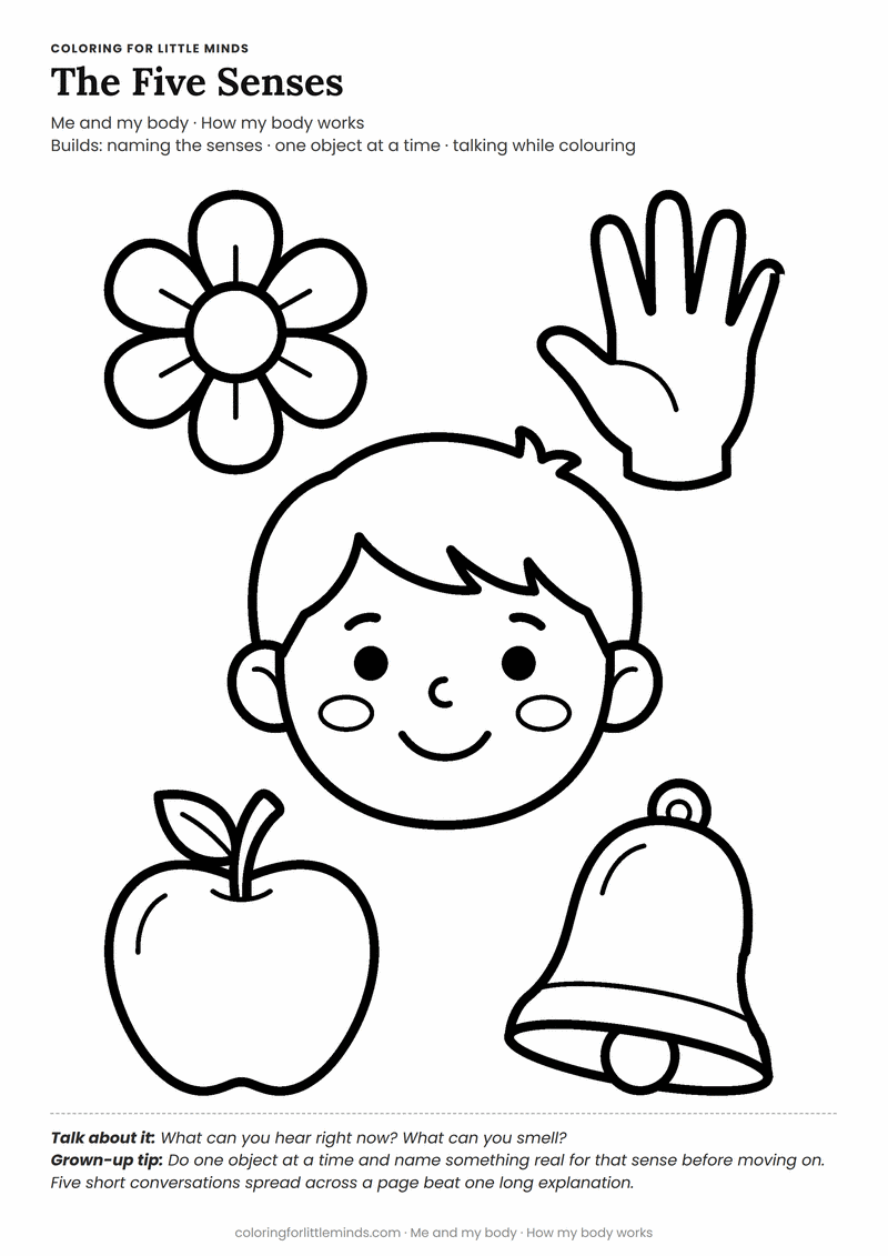 Five senses coloring page for ages 5–6 — free printable preview