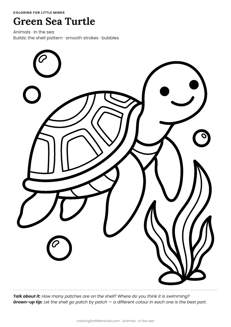 Green sea turtle coloring page for ages 4–5 — free full-size printable PDF