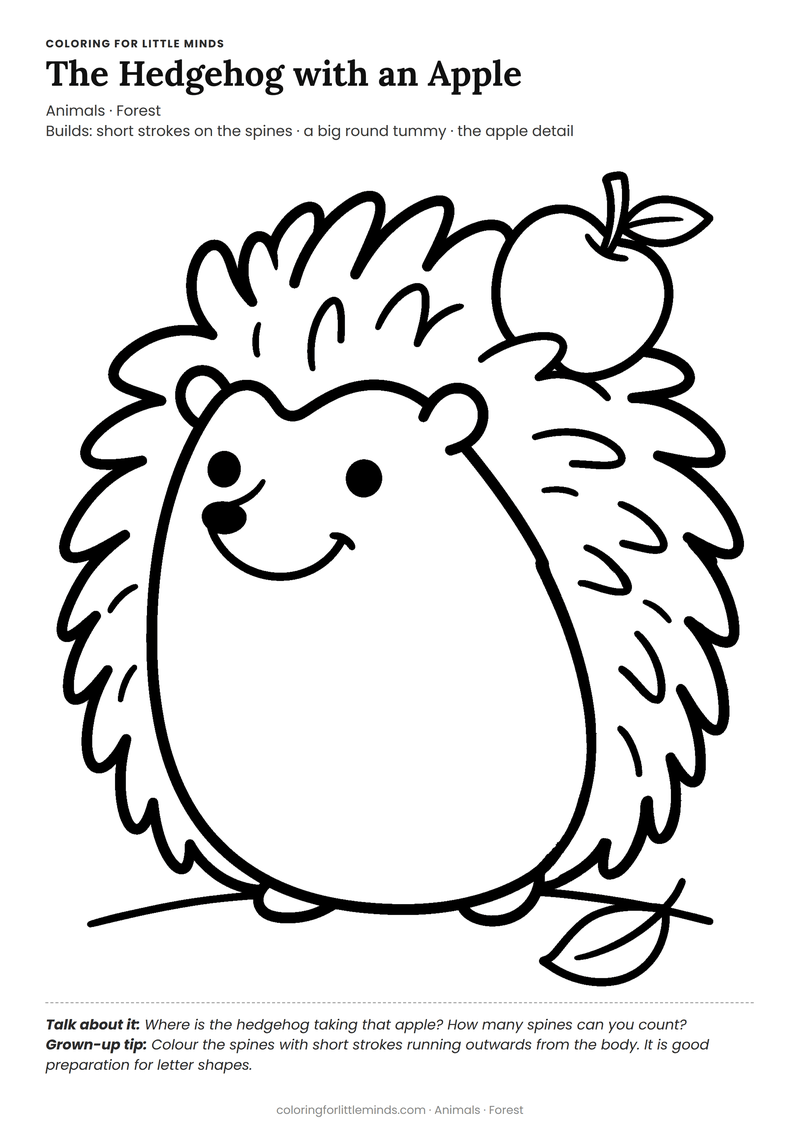 Hedgehog coloring page for ages 3–4 — free full-size printable PDF