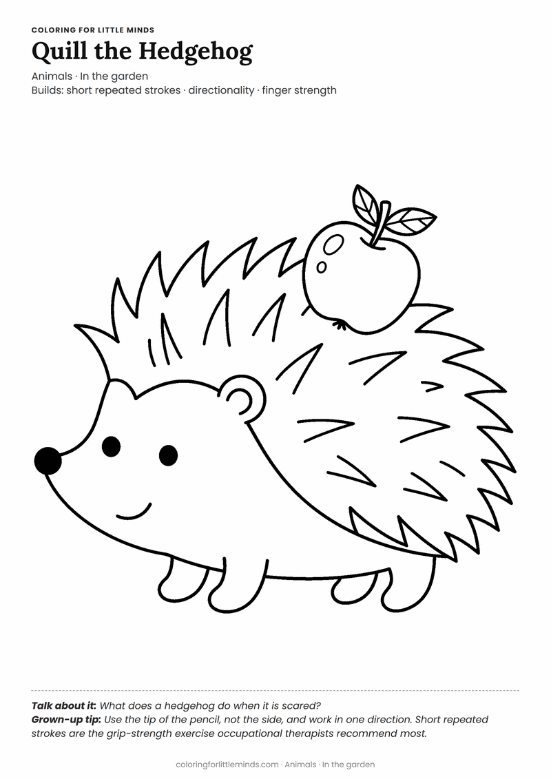 Hedgehog coloring page for ages 5–6 — free printable preview