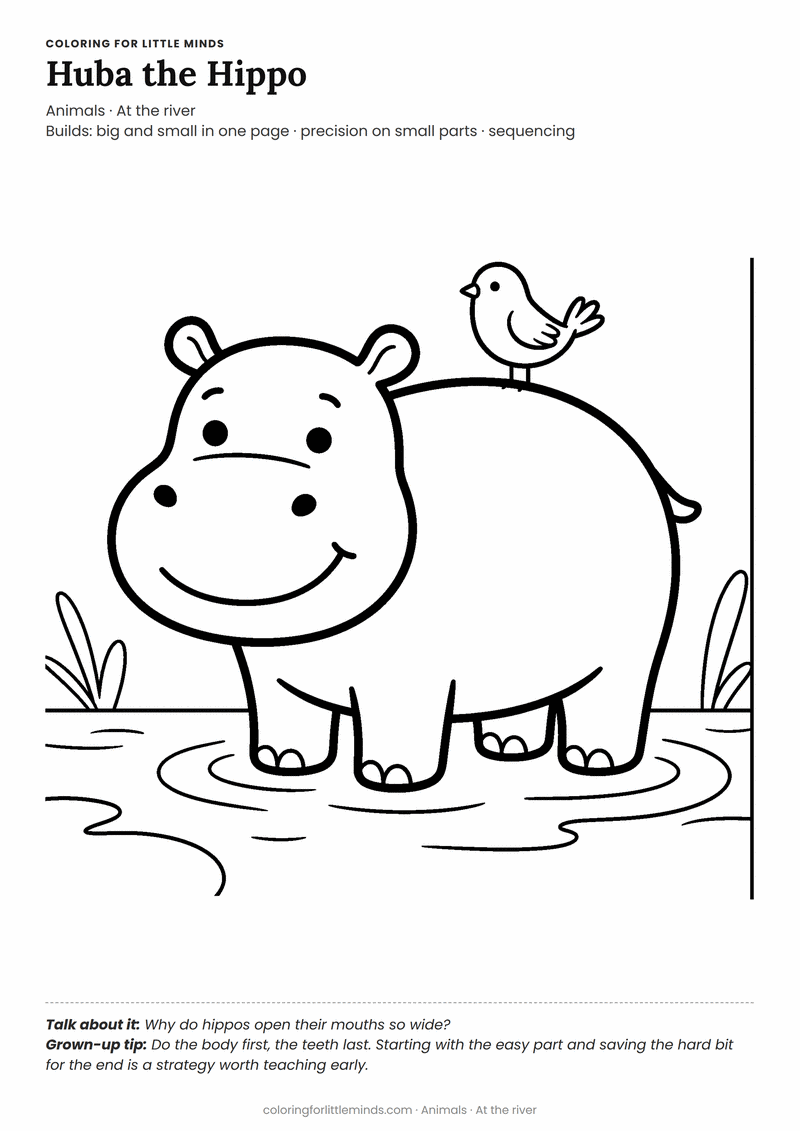 Hippo coloring page for ages 4–5 — free printable preview