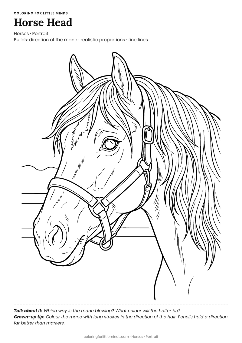 Horse head coloring page for ages 6–8 — free full-size printable PDF