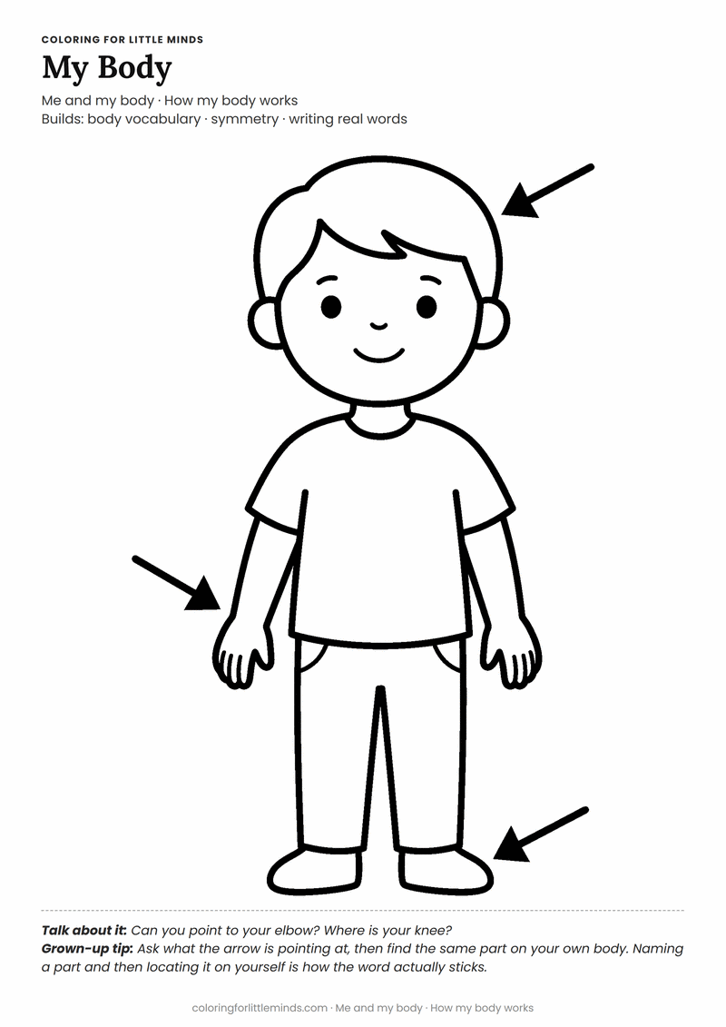 Human body coloring page for ages 5–6 — free printable preview