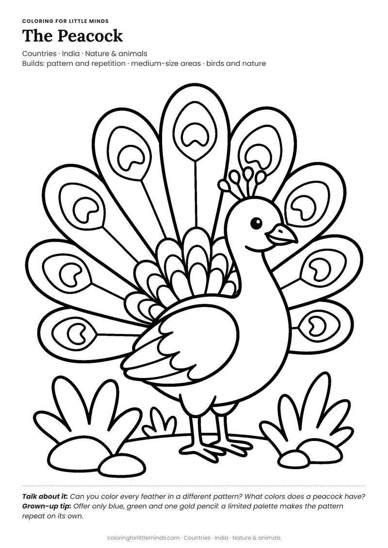 Peacock coloring page for ages 4–5 — free full-size printable PDF