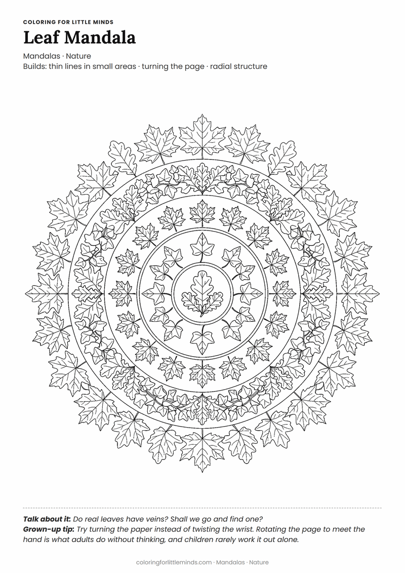 Leaf mandala coloring page for ages 6–8 — free printable preview