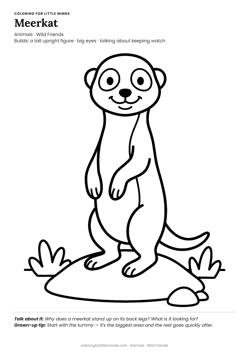 Meerkat coloring page for ages 4–5 — free full-size printable PDF