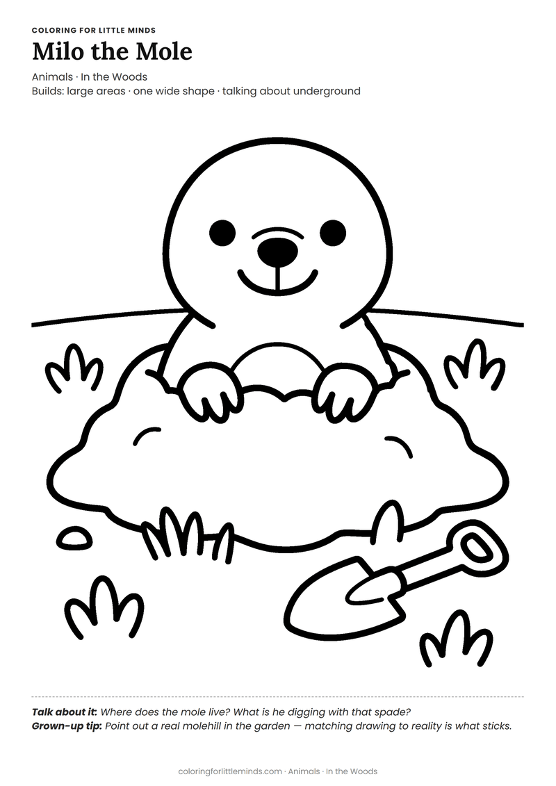 Mole coloring page for ages 3–4 — free full-size printable PDF