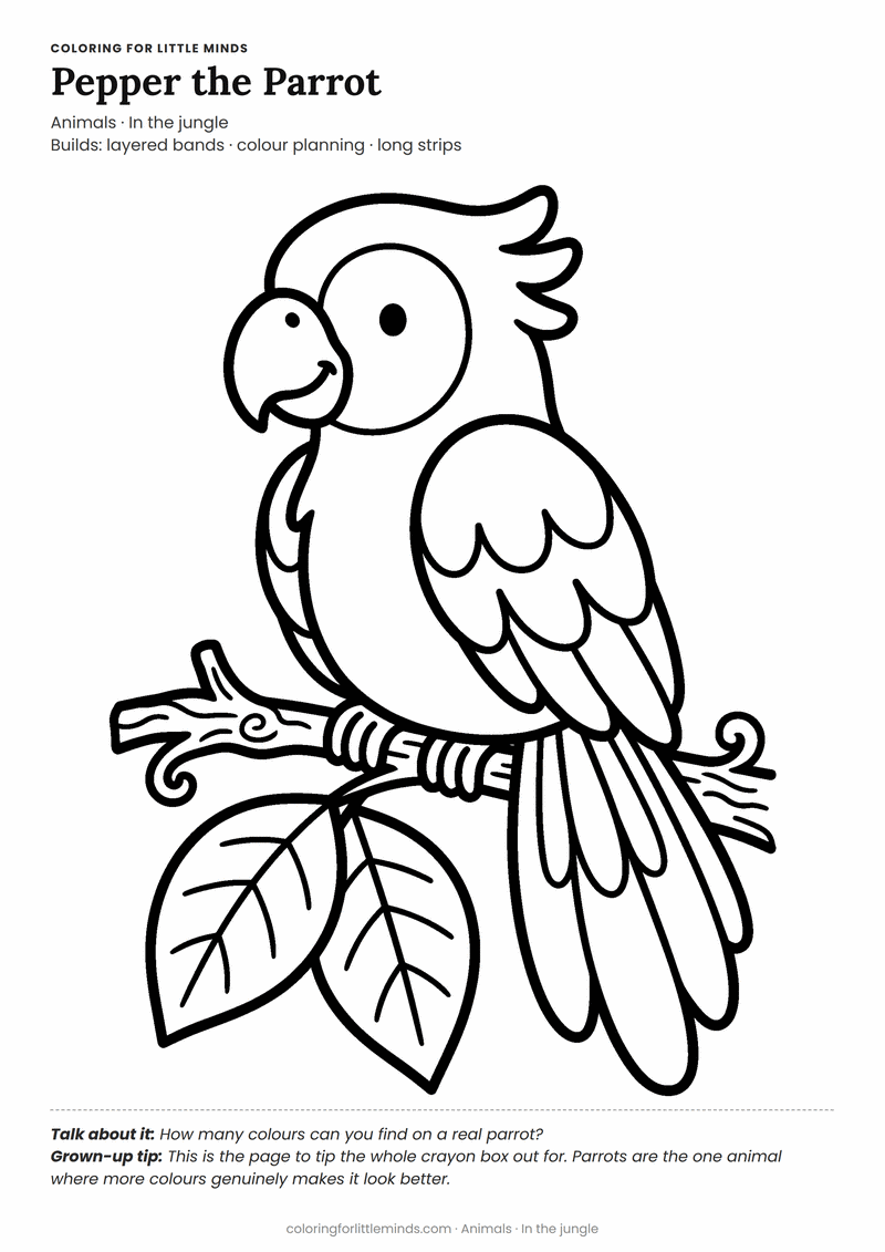 Parrot coloring page for ages 4–5 — free printable preview