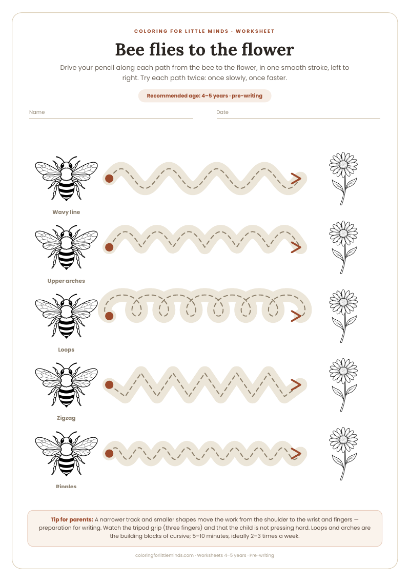 Bee flies to the flower – worksheet for ages 4–5, preview
