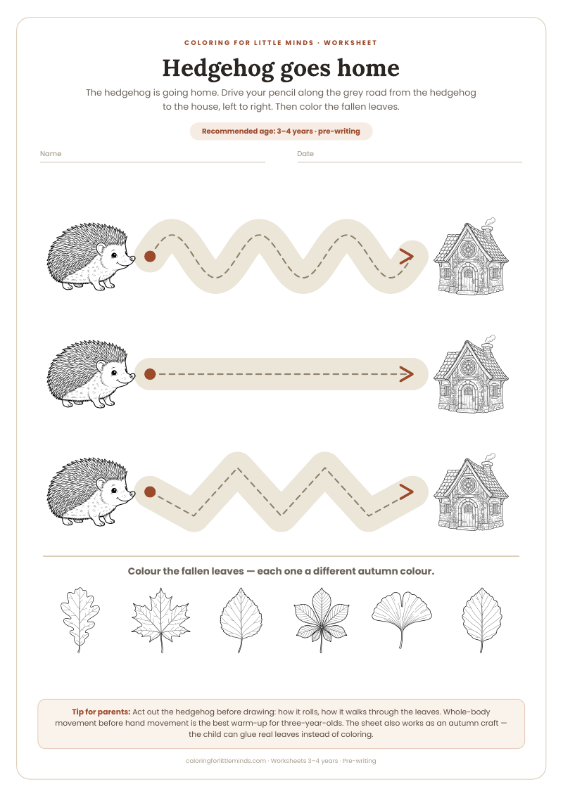 Hedgehog goes home – worksheet for ages 3–4, preview