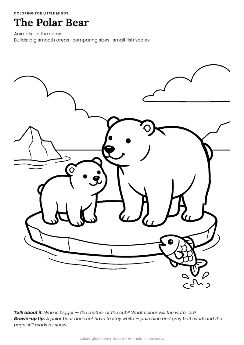 Polar bear coloring page for ages 4–5 — free full-size printable PDF