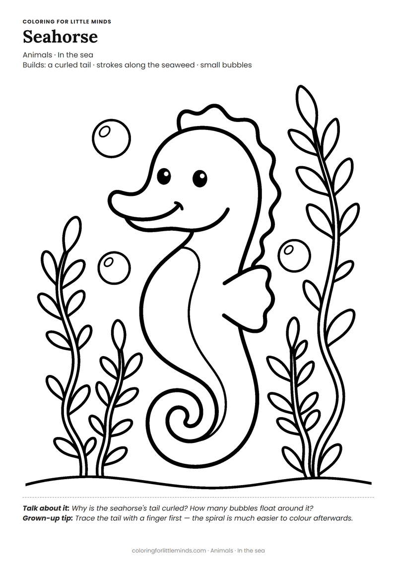 Seahorse coloring page for ages 4–5 — free full-size printable PDF