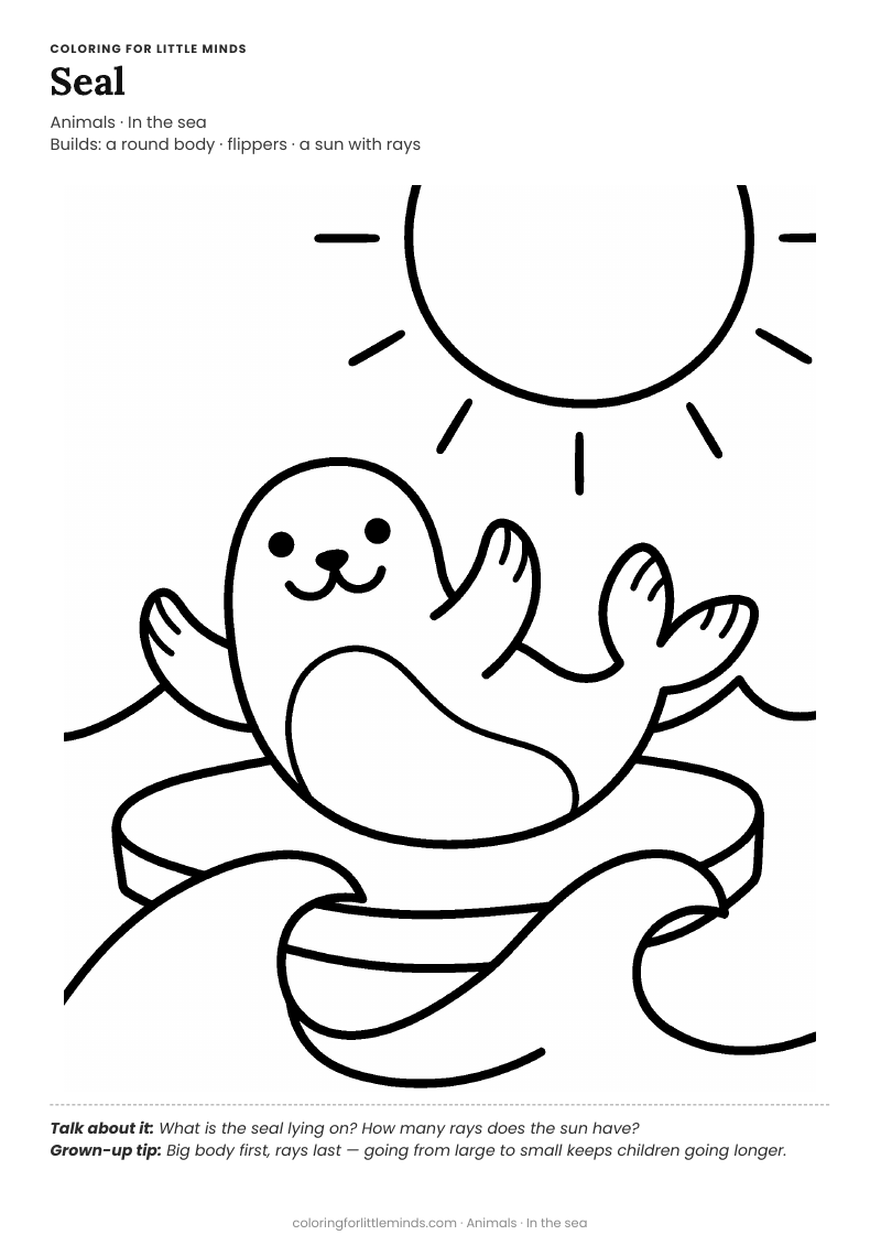 Seal coloring page for ages 4–5 — free full-size printable PDF