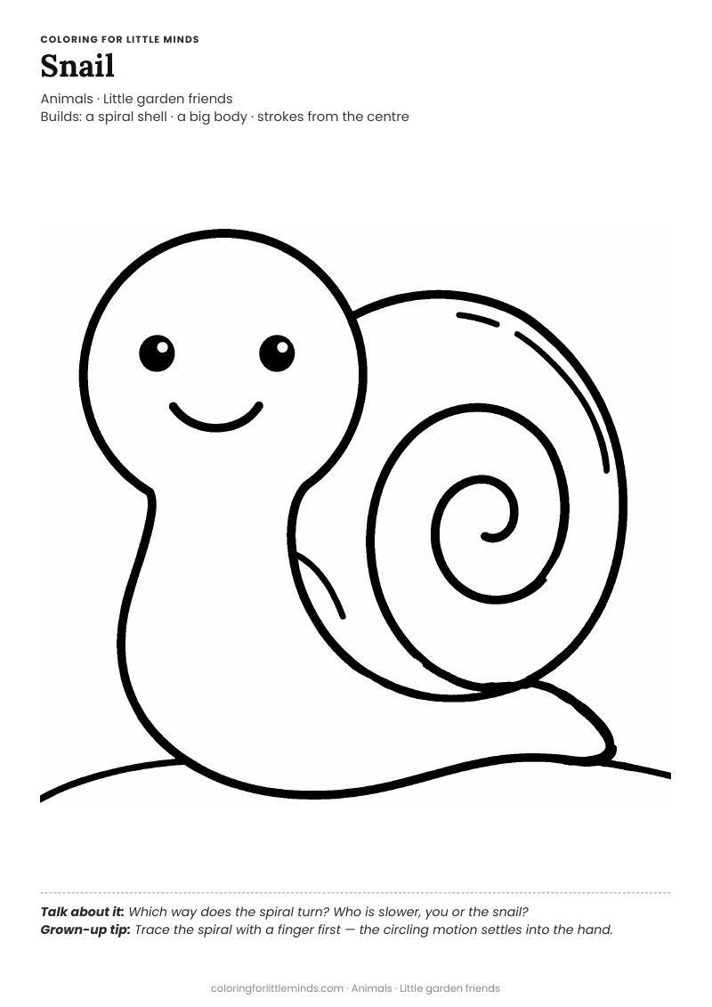 Snail coloring page for ages 2–3 — free full-size printable PDF