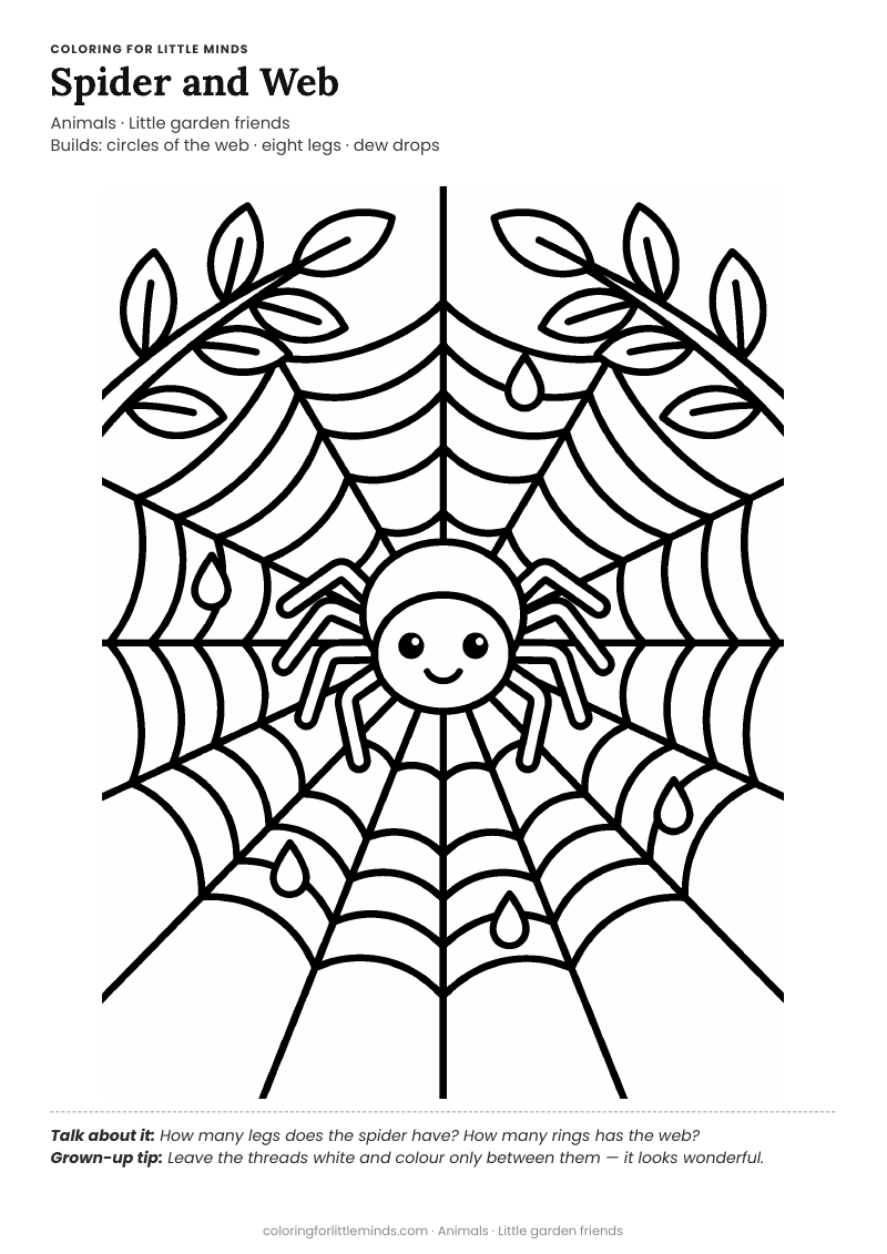 Spider web coloring page for ages 5–6 — free full-size printable PDF