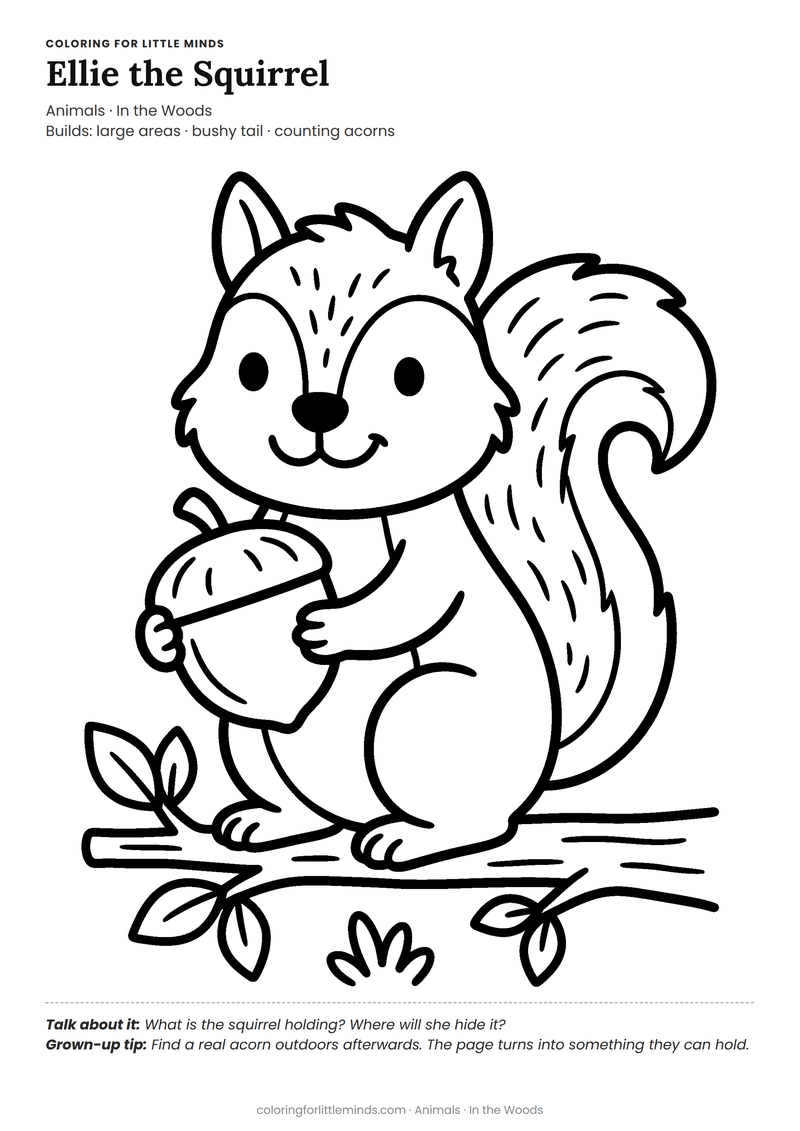 Squirrel coloring page for ages 3–4 — free full-size printable PDF