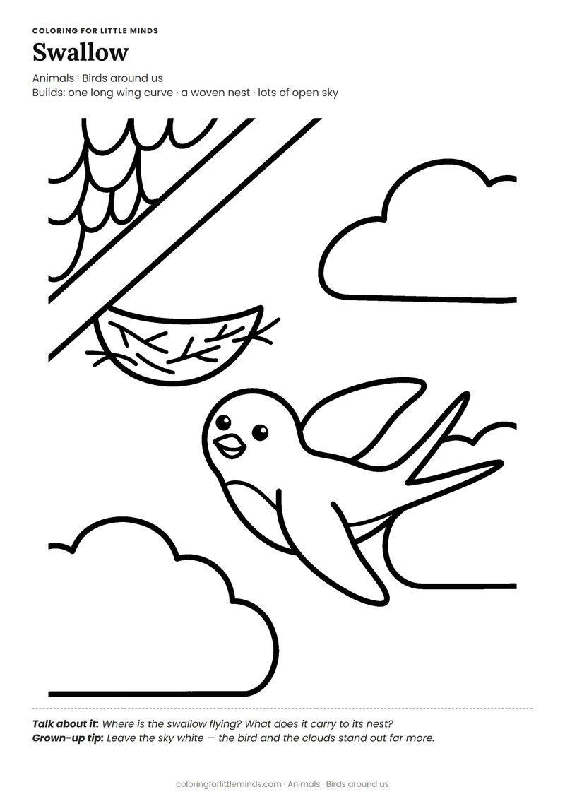 Swallow coloring page for ages 4–5 — free full-size printable PDF