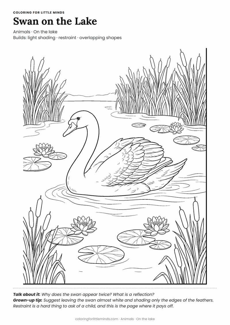 Swan coloring page for ages 6–8 — free printable preview