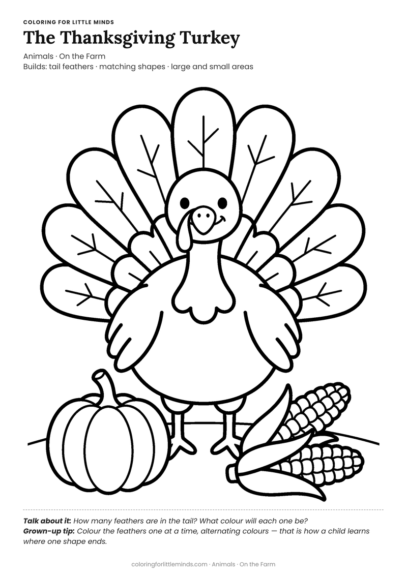 Turkey coloring page for ages 4–5 — free full-size printable PDF