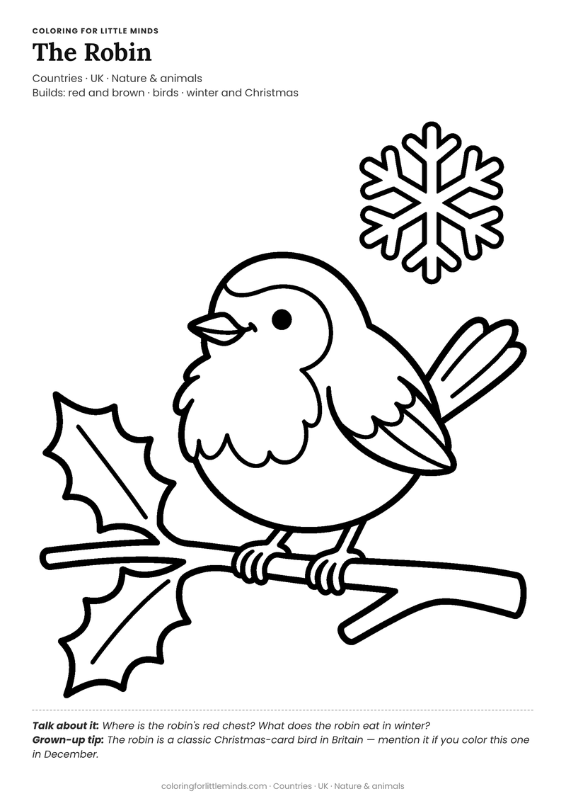 Robin coloring page for ages 4–5 — free full-size printable PDF