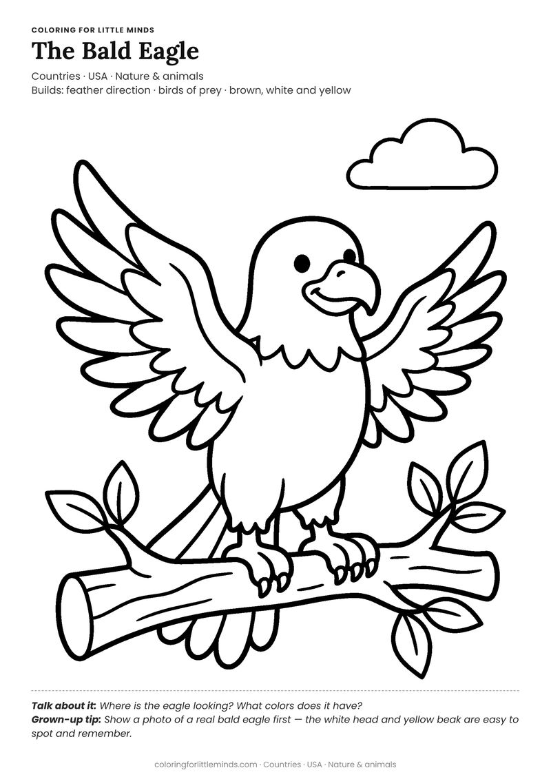 Bald eagle coloring page for ages 4–5 — free full-size printable PDF