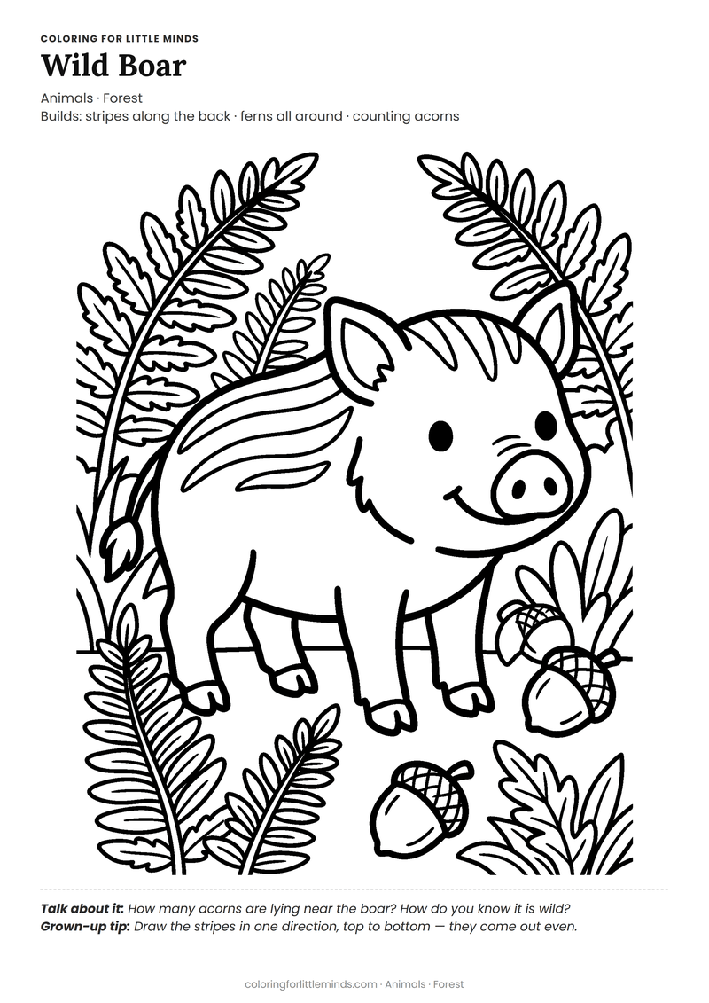 Wild boar coloring page for ages 5–6 — free full-size printable PDF