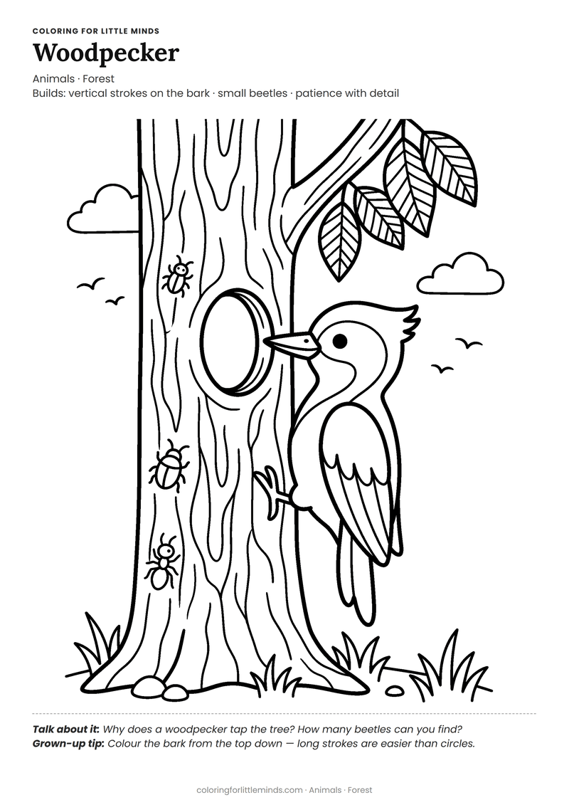 Woodpecker coloring page for ages 5–6 — free full-size printable PDF